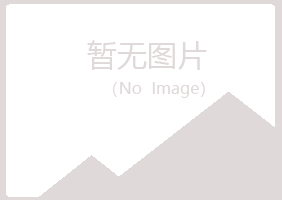 香港紫山能源有限公司